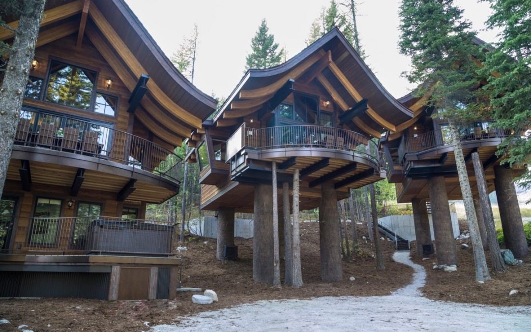 Tree Houses
