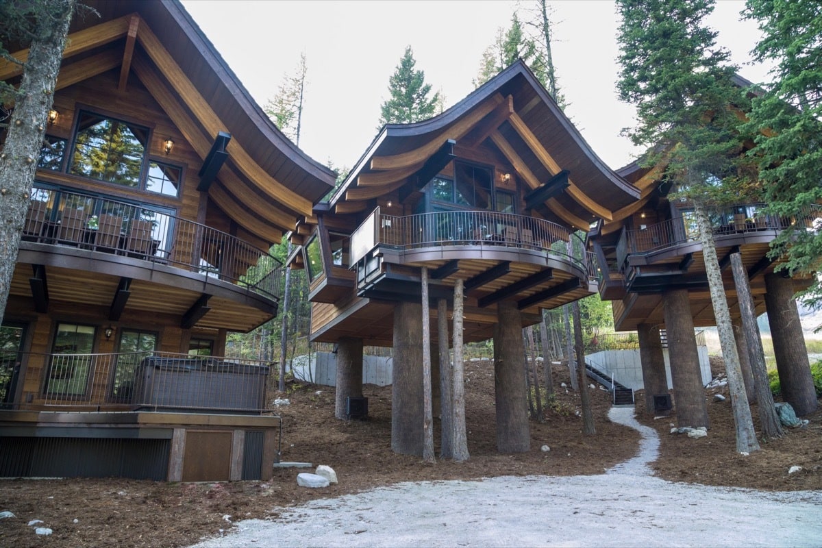 Tree House